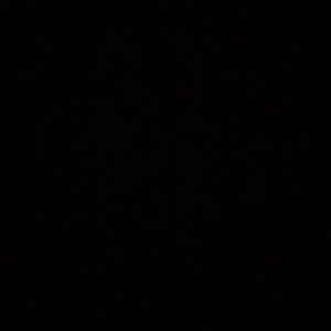 Meet your Posher, Dora